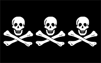 Christopher Codent Pirate Flag