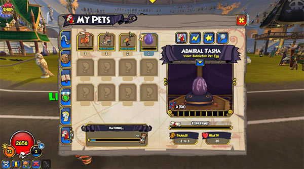 Game Pets  Pirate101 Free Online Game